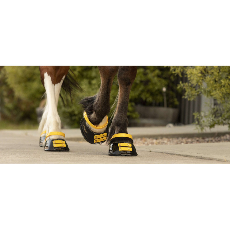 Pack de sangles avant Scoot Boots Pack de sangles avant Scoot Boots