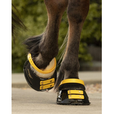 Pack de sangles avant Scoot Boots Marigold Jaune Pack de sangles avant Scoot Boots Marigold Jaune