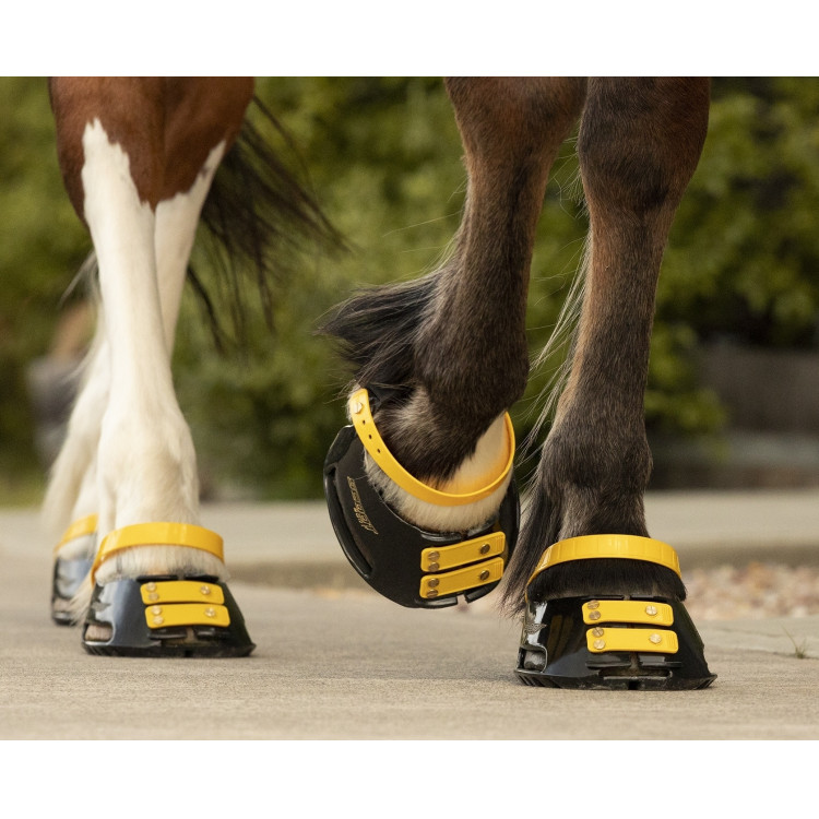 Pack de sangles avant Scoot Boots Pack de sangles avant Scoot Boots