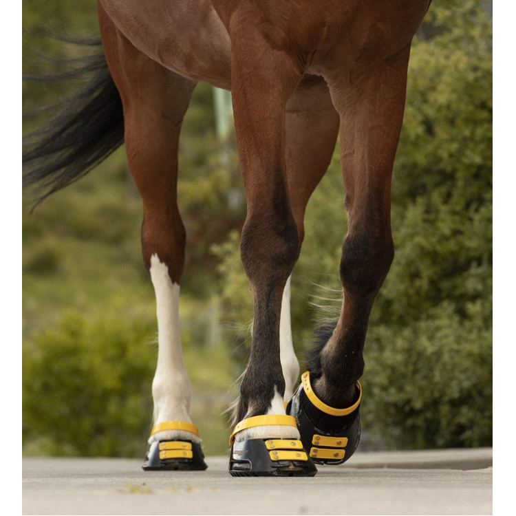 Pack de sangles avant Scoot Boots Pack de sangles avant Scoot Boots