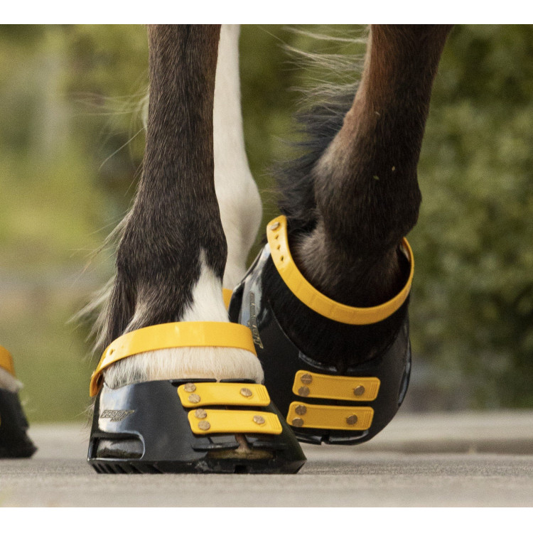 Pack de sangles avant Scoot Boots Pack de sangles avant Scoot Boots