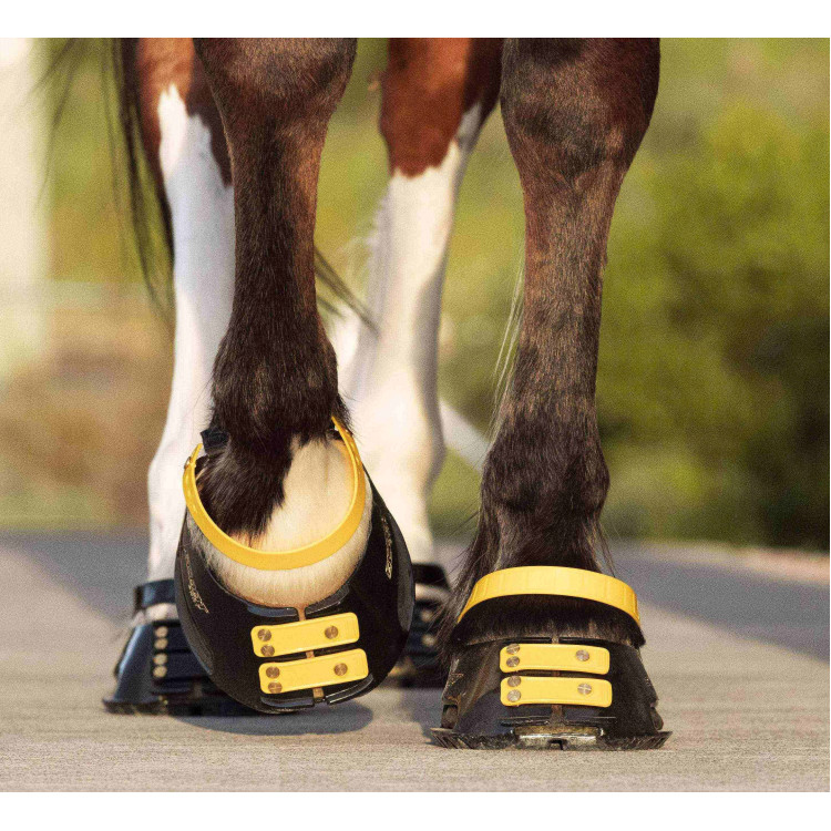 Pack de sangles avant Scoot Boots Pack de sangles avant Scoot Boots
