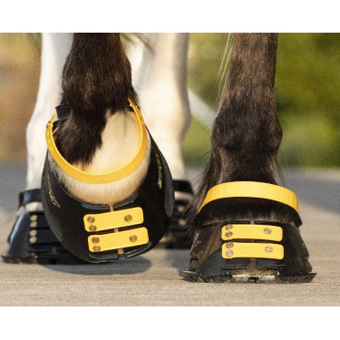 Pack de sangles avant Scoot Boots Marigold Jaune Pack de sangles avant Scoot Boots Marigold Jaune