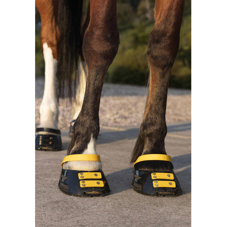 Pack de sangles avant Scoot Boots Pack de sangles avant Scoot Boots