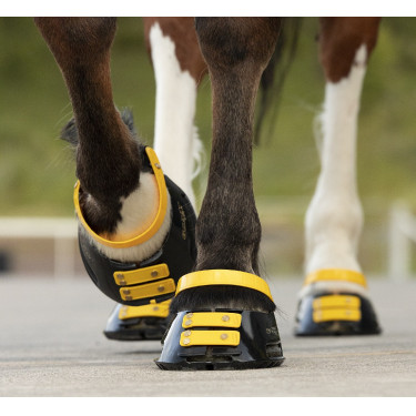Pack de sangles avant Scoot Boots Marigold Jaune Pack de sangles avant Scoot Boots Marigold Jaune
