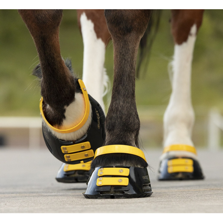Pack de sangles avant Scoot Boots Pack de sangles avant Scoot Boots
