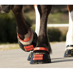 Straps de paturon Scoot Boots par 4 Hibiscus Rouge