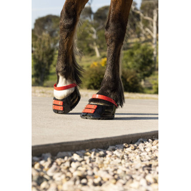 Straps de paturon Scoot Boots par 4 Hibiscus Rouge Straps de paturon Scoot Boots par 4 Hibiscus Rouge