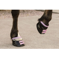 Straps de paturon Scoot Boots par 4 Blossom Rose