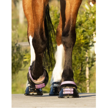 Straps de paturon Scoot Boots par 4 Straps de paturon Scoot Boots par 4