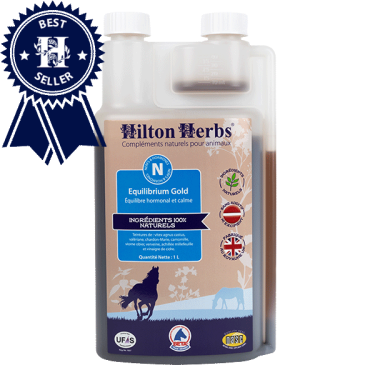 Equilibrium Gold Hilton Herbs Equilibrium Gold Hilton Herbs