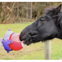 Jeu pierre à sel Tongue Twister Likit Rouge Jeu pierre à sel Tongue Twister Likit Rouge