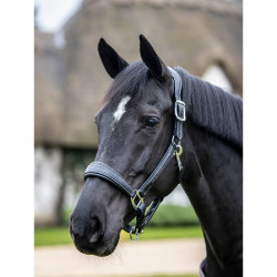 Licol en cuir cousu LeMieux Noir Licol en cuir cousu LeMieux Noir