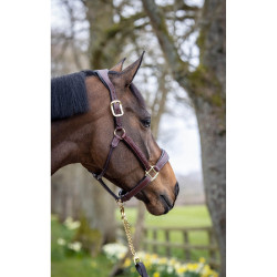 Licol en cuir cousu LeMieux Marron