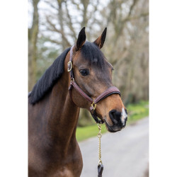 Licol en cuir cousu LeMieux Marron