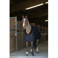 Chemise séchante Equithème Teddy Noir / marron