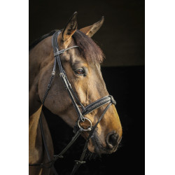 Bridon Pénélope Luxe Bridon Pénélope Luxe