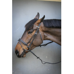 Bridon Pénélope Luxe Bridon Pénélope Luxe