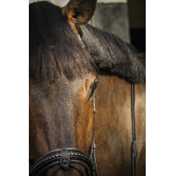 Bridon Pénélope Luxe Bridon Pénélope Luxe