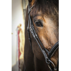 Bridon Pénélope Luxe Bridon Pénélope Luxe