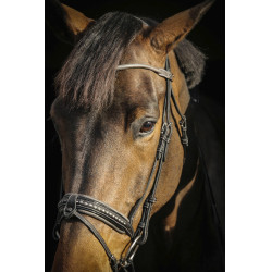 Bridon Pénélope Luxe Bridon Pénélope Luxe