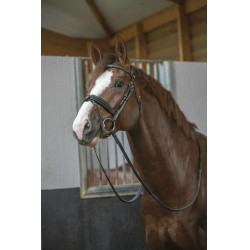 Bridon Pénélope Daily Noir