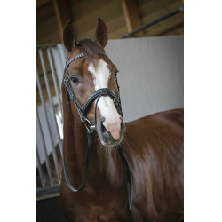 Bridon Pénélope Daily Noir