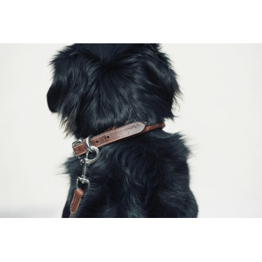 Collier pour chien Pénélope Point Sellier Collier pour chien Pénélope Point Sellier