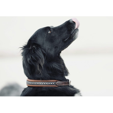 Collier pour chien Pénélope Point Sellier Collier pour chien Pénélope Point Sellier
