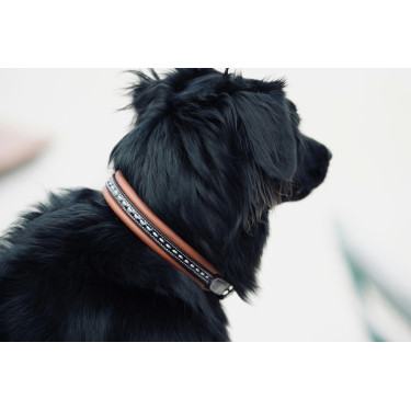 Collier pour chien Pénélope Point Sellier Collier pour chien Pénélope Point Sellier