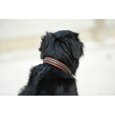 Collier pour chien Pénélope Point Sellier Collier pour chien Pénélope Point Sellier