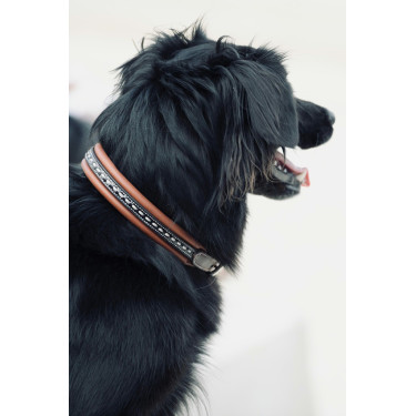 Collier pour chien Pénélope Point Sellier Collier pour chien Pénélope Point Sellier