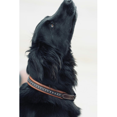 Collier pour chien Pénélope Point Sellier Collier pour chien Pénélope Point Sellier