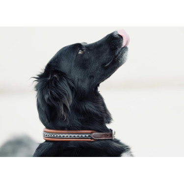 Collier pour chien Pénélope Point Sellier Collier pour chien Pénélope Point Sellier
