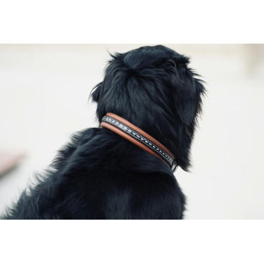 Collier pour chien Pénélope Point Sellier Collier pour chien Pénélope Point Sellier