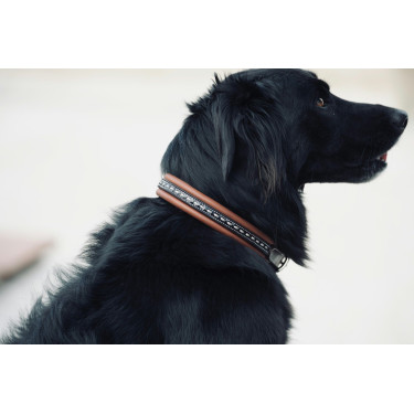 Collier pour chien Pénélope Point Sellier Collier pour chien Pénélope Point Sellier