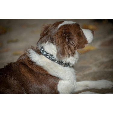 Collier pour chien Pénélope Pearl Collier pour chien Pénélope Pearl