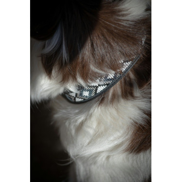 Collier pour chien Pénélope Pearl Collier pour chien Pénélope Pearl