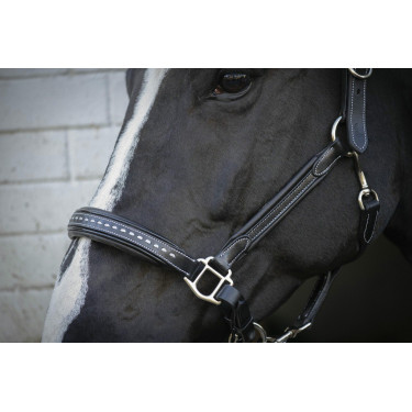 Licol cuir Pénélope Point Sellier Noir Licol cuir Pénélope Point Sellier Noir