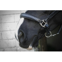 Licol cuir Pénélope Point Sellier Noir Licol cuir Pénélope Point Sellier Noir