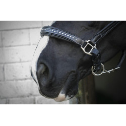 Licol cuir Pénélope Point Sellier Noir Licol cuir Pénélope Point Sellier Noir