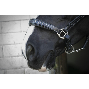 Licol cuir Pénélope Point Sellier Noir Licol cuir Pénélope Point Sellier Noir