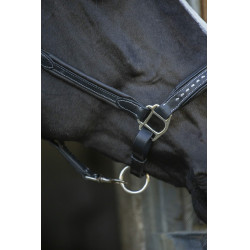 Licol cuir Pénélope Point Sellier Noir Licol cuir Pénélope Point Sellier Noir