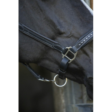 Licol cuir Pénélope Point Sellier Noir Licol cuir Pénélope Point Sellier Noir