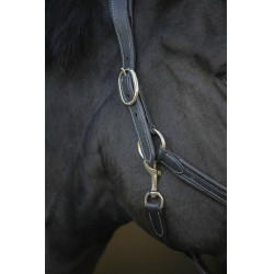 Licol cuir Pénélope Point Sellier Noir Licol cuir Pénélope Point Sellier Noir