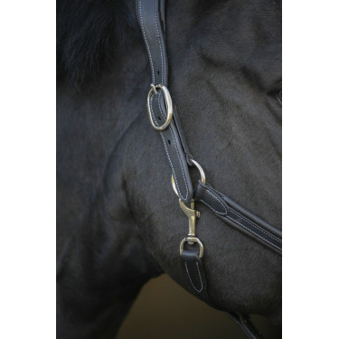 Licol cuir Pénélope Point Sellier Noir Licol cuir Pénélope Point Sellier Noir