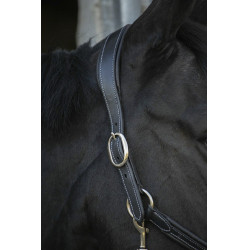 Licol cuir Pénélope Point Sellier Noir Licol cuir Pénélope Point Sellier Noir