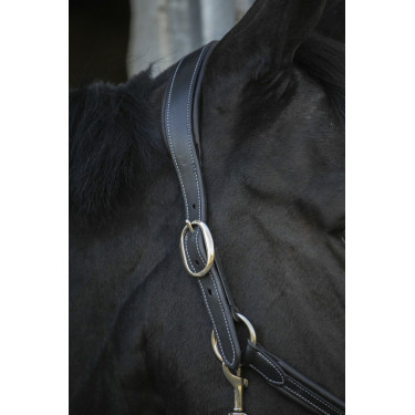 Licol cuir Pénélope Point Sellier Noir Licol cuir Pénélope Point Sellier Noir