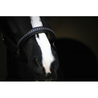 Licol cuir Pénélope Point Sellier Noir Licol cuir Pénélope Point Sellier Noir