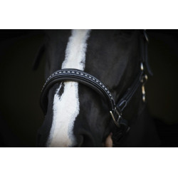 Licol cuir Pénélope Point Sellier Noir Licol cuir Pénélope Point Sellier Noir